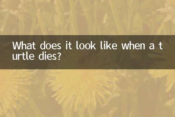 Как это выглядит, когда умирает черепаха?
