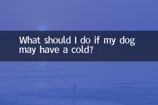 اگر میرے کتے کو سردی پڑسکتی ہے تو مجھے کیا کرنا چاہئے؟