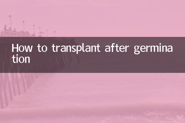 발아 후 이식 방법