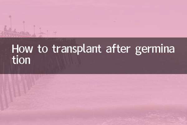 발아 후 이식 방법