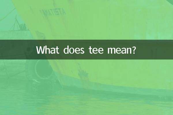 O que significa camiseta?