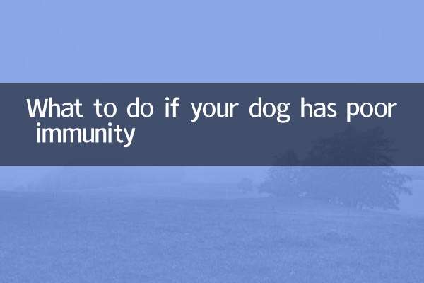 यदि आपके कुत्ते की रोग प्रतिरोधक क्षमता ख़राब है तो क्या करें?