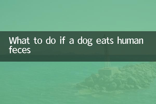 O que fazer se um cachorro comer fezes humanas