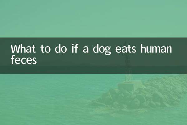 اگر سگ مدفوع انسان را بخورد چه باید کرد؟