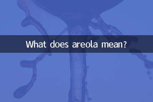 乳晕是什么意思啊