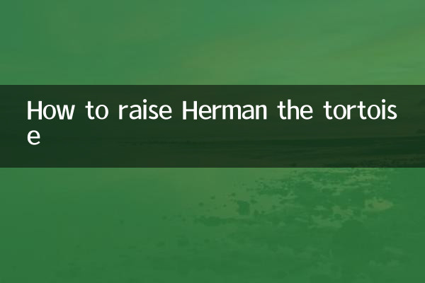 Comment élever Herman la tortue