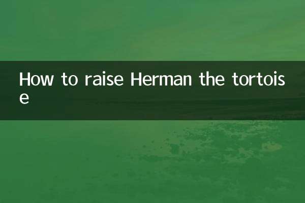 Comment élever Herman la tortue
