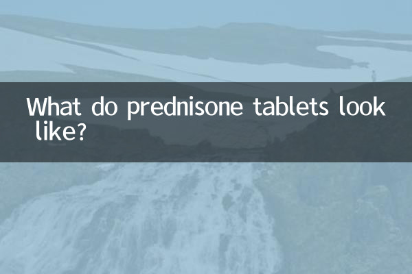 Che aspetto hanno le compresse di prednisone?