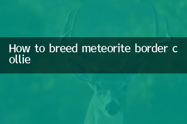 কিভাবে উল্কা বর্ডার কলির বংশবৃদ্ধি করা যায়