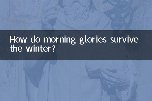 Comment les gloires du matin survivent-elles à l’hiver ?