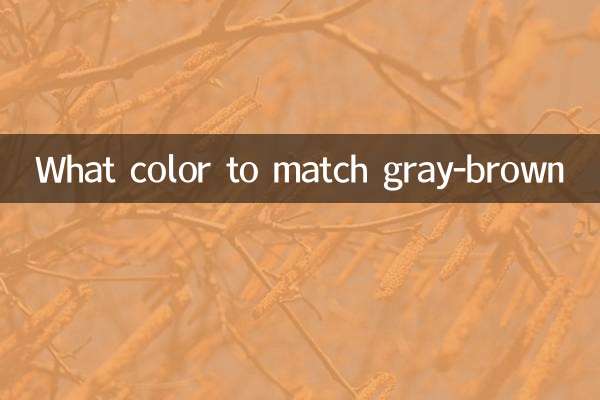 Welche Farbe passend zu graubraun