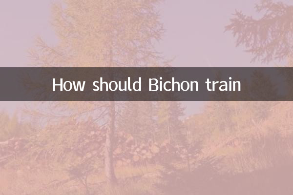 Bichon은 어떻게 훈련해야합니다