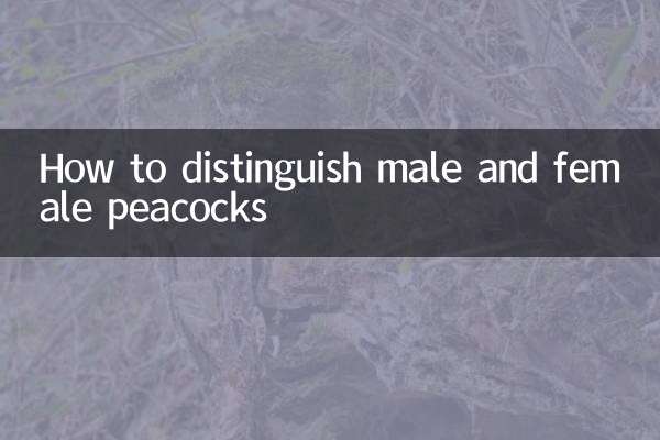 مرد اور خواتین موروں کو کس طرح تمیز کریں