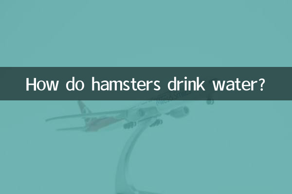 How do hamsters drink water?