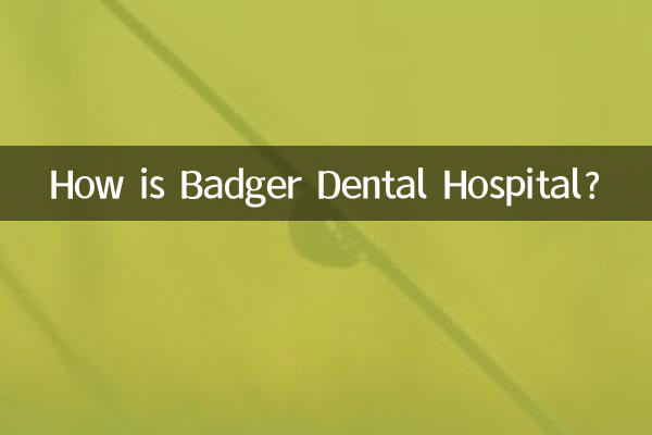 ¿Qué tal el Hospital Dental Badger?