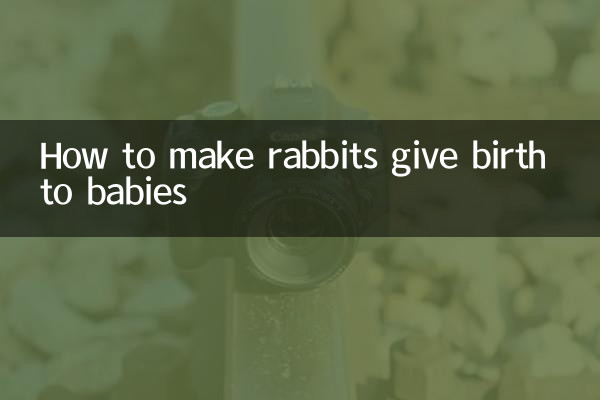 怎么让兔子生小兔子