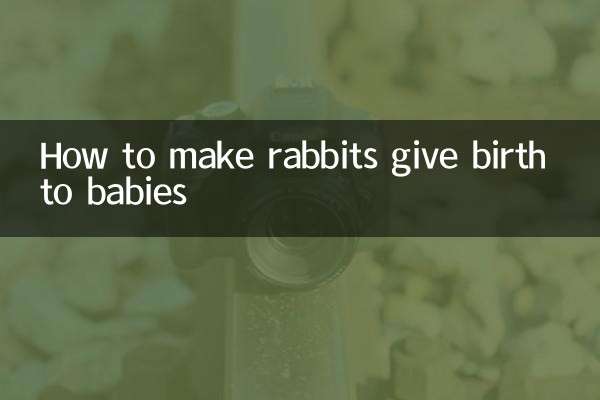 怎么让兔子生小兔子