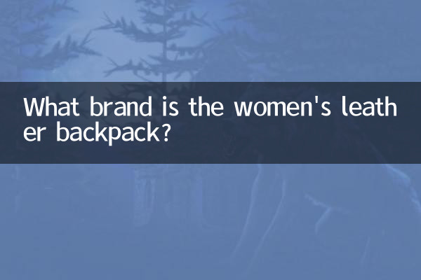 মহিলাদের চামড়ার ব্যাকপ্যাক কোন ব্র্যান্ডের?