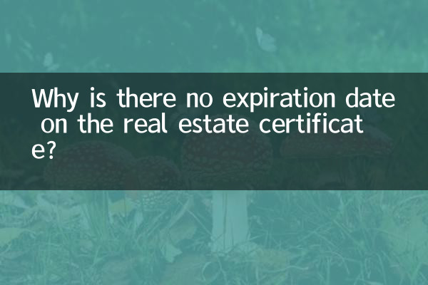 Warum steht auf dem Immobilienzertifikat kein Ablaufdatum?