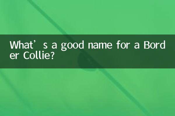 بارڈر کولی کے لئے اچھا نام کیا ہے؟