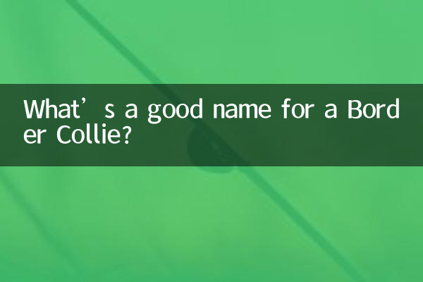 بارڈر کولی کے لئے اچھا نام کیا ہے؟