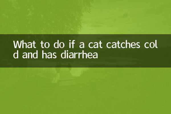 Was tun, wenn sich eine Katze erkältet und Durchfall hat?