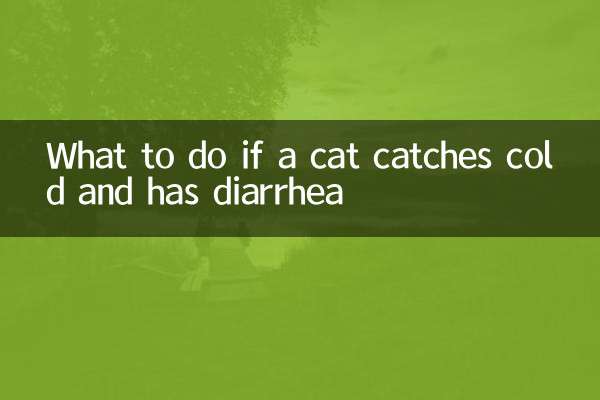 Qué hacer si un gato se resfría y tiene diarrea