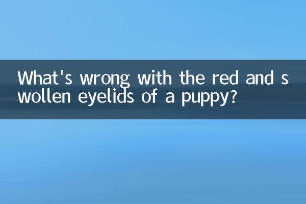 子犬のまぶたが赤く腫れているのですが、何が問題なのでしょうか?