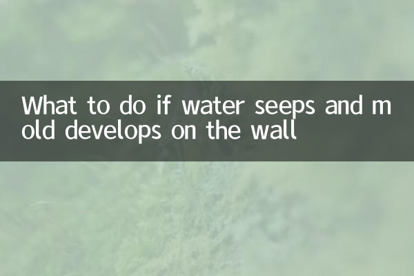 ماذا تفعل إذا تسربت المياه وتشكل العفن على الحائط