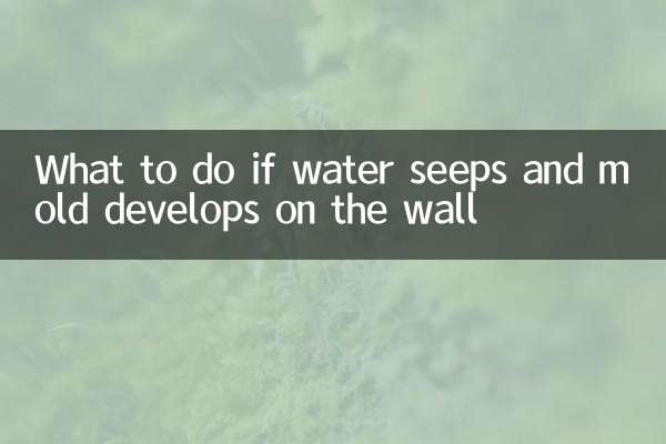 O que fazer se a água vazar e se desenvolver mofo na parede