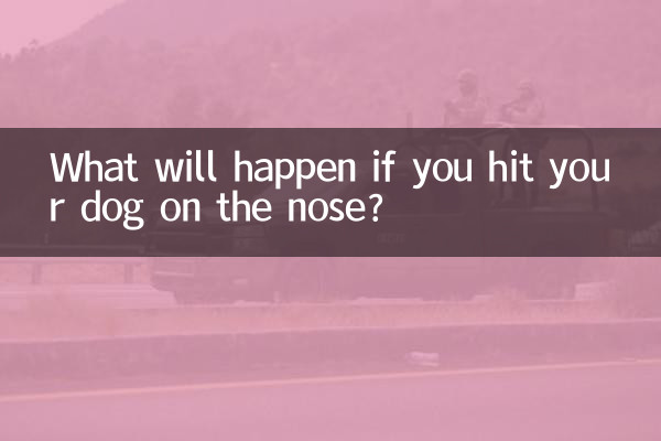 打狗狗鼻子会怎么样