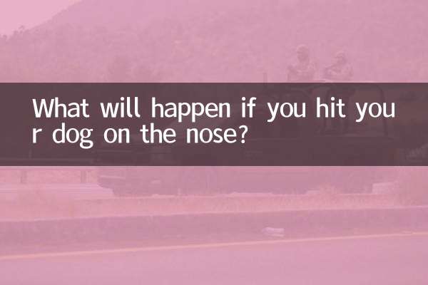 打狗狗鼻子会怎么样