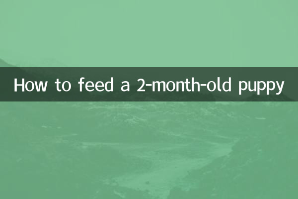 2 ماہ کے کتے کو کیسے کھانا کھلانا ہے