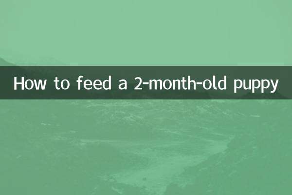 2 ماہ کے کتے کو کیسے کھانا کھلانا ہے