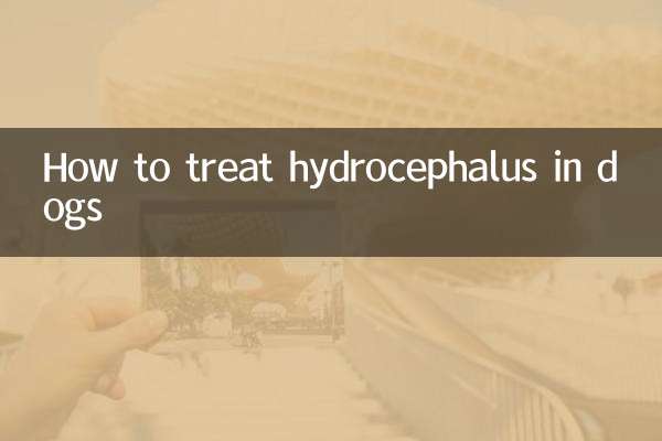 How to treat hydrocephalus in dogs