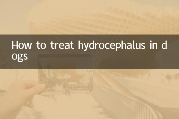 How to treat hydrocephalus in dogs