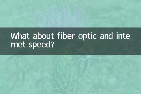 What about fiber optic and internet speed?