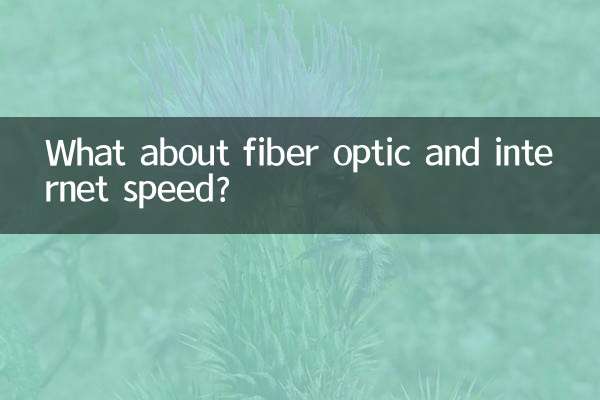 What about fiber optic and internet speed?