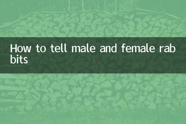 How to tell male and female rabbits