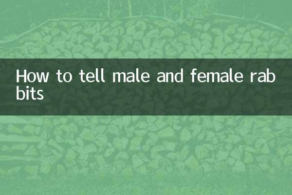 How to tell male and female rabbits