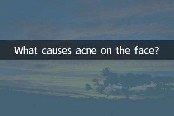 ¿Qué causa el acné en la cara?