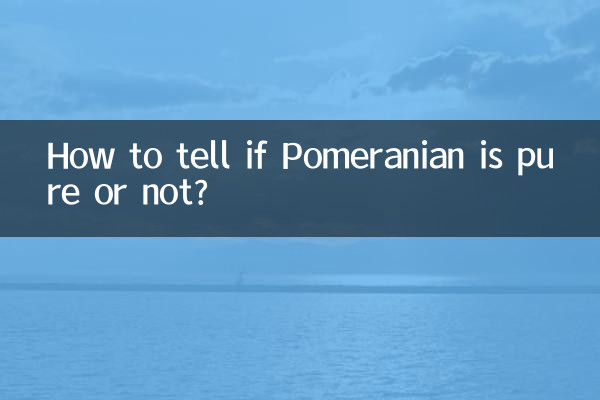 ポメラニアンが純粋かどうか見分ける方法は?