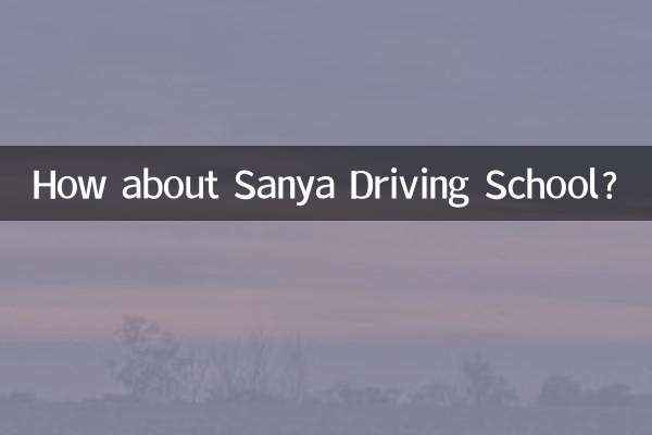 Как насчет автошколы Саньи?