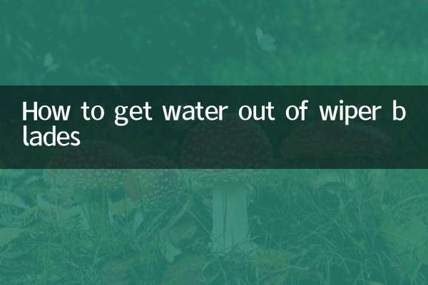 Como tirar água das palhetas do limpador