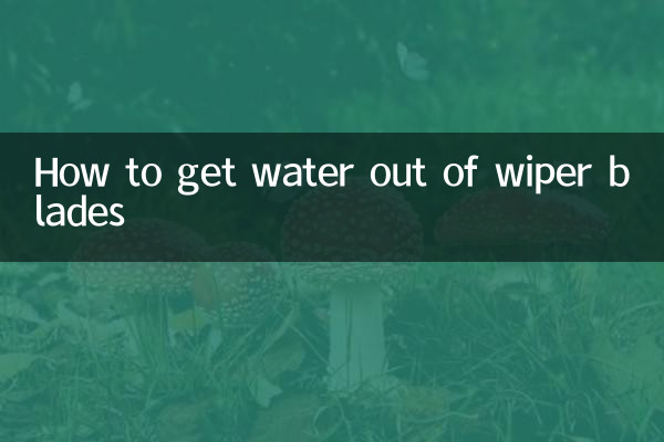 Como tirar água das palhetas do limpador