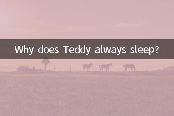 테디는 왜 맨날 잠을 자나요?