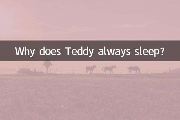 테디는 왜 맨날 잠을 자나요?