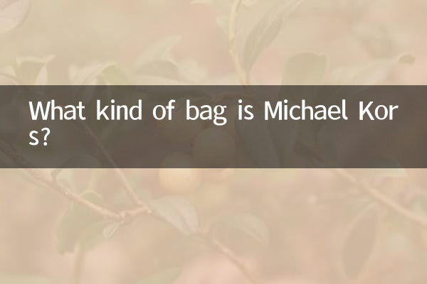 Quel genre de sac est Michael Kors ?