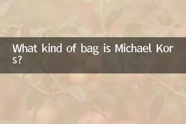 Quel genre de sac est Michael Kors ?