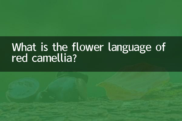赤い椿の花言葉は何でしょうか？